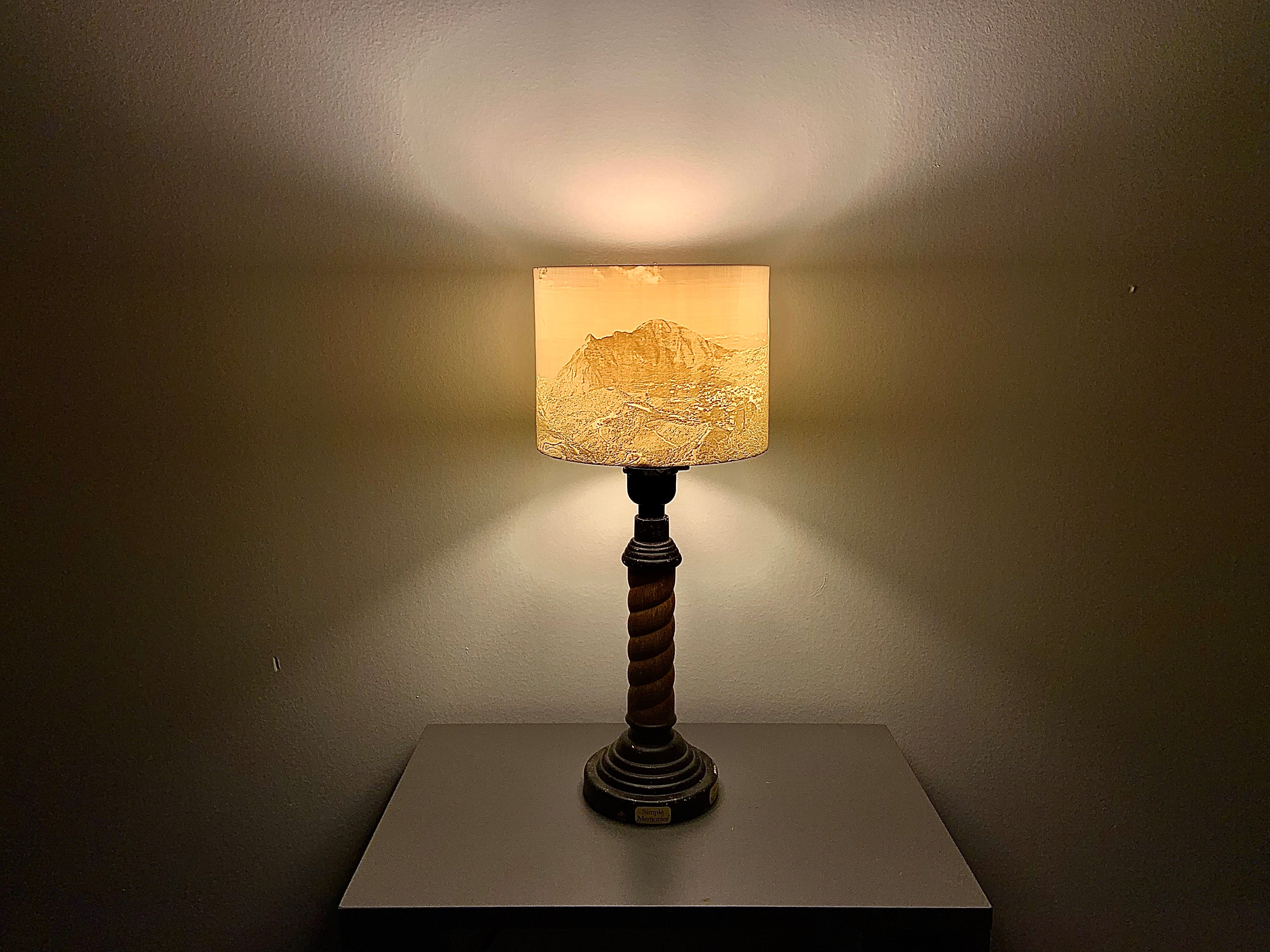 Lamp w/ Custom Lampshade