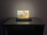 Load image into Gallery viewer, Curved Lithophane Lamp
